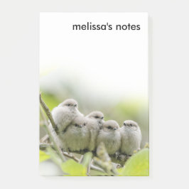 Heartwarming Cute Bushtits Songbird Family Foto Post-it® Notes