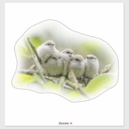 Heartwarming Cute Bushtits Songbird Family Foto Sticker
