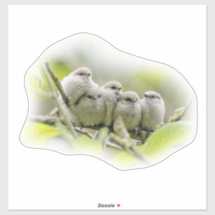 Heartwarming Cute Bushtits Songbird Family Foto Sticker