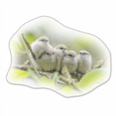 Heartwarming Cute Bushtits Songbird Family Foto Sticker (Voorkant)