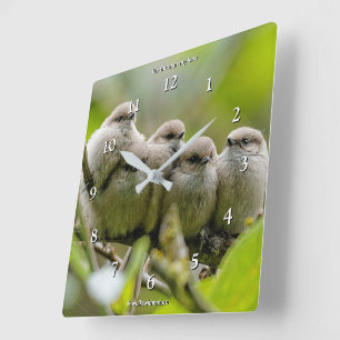 Heartwarming Cute Bushtits Songbird Family Foto Vierkante Klok