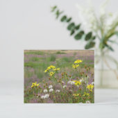 Heath and White Yellow Flowers DIY Briefkaart (Staand voorkant)
