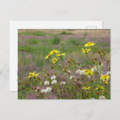 Heath and White Yellow Flowers DIY Briefkaart (Voorkant / Achterkant)