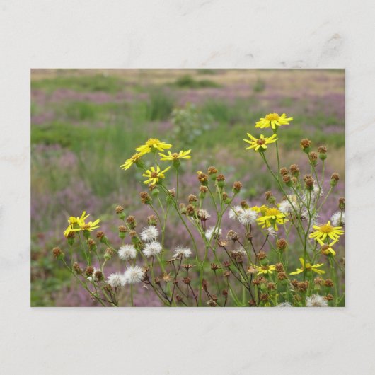 Heath and White Yellow Flowers DIY Briefkaart (Voorkant)