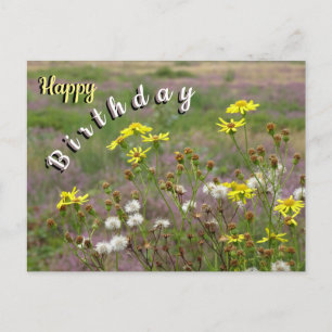 Heath and White Yellow Flowers Verjaardag Briefkaa Briefkaart