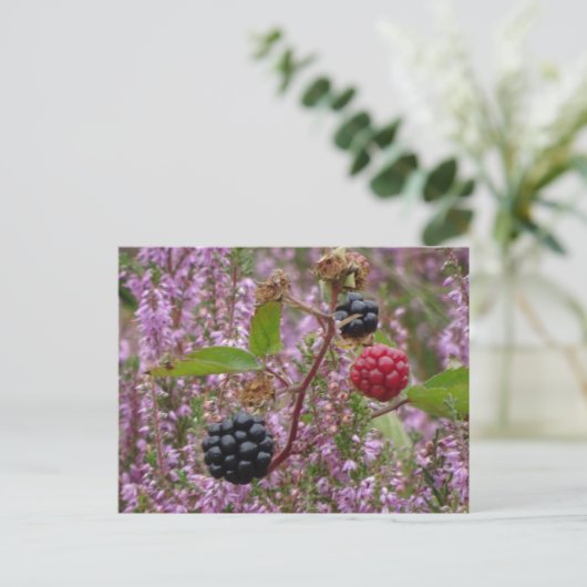 Heath & Blackberries DIY Briefkaart (Staand voorkant)