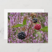 Heath & Blackberries DIY Briefkaart (Voorkant / Achterkant)