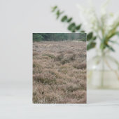 Heath Briefkaart (Staand voorkant)