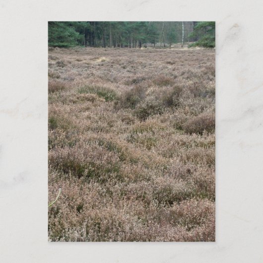 Heath Briefkaart (Voorkant)