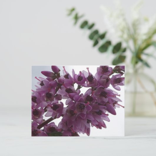 Heath Flowers Sluit DIY Briefkaart aan (Staand voorkant)