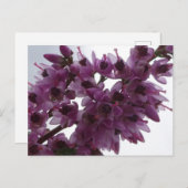 Heath Flowers Sluit DIY Briefkaart aan (Voorkant / Achterkant)