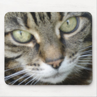 Heather Cat Mouse Mat Muismat