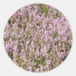 Heather Flowers Mooi Uitzicht Ronde Sticker
