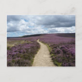 Heather (gemêleerd) briefkaart (Voorkant)