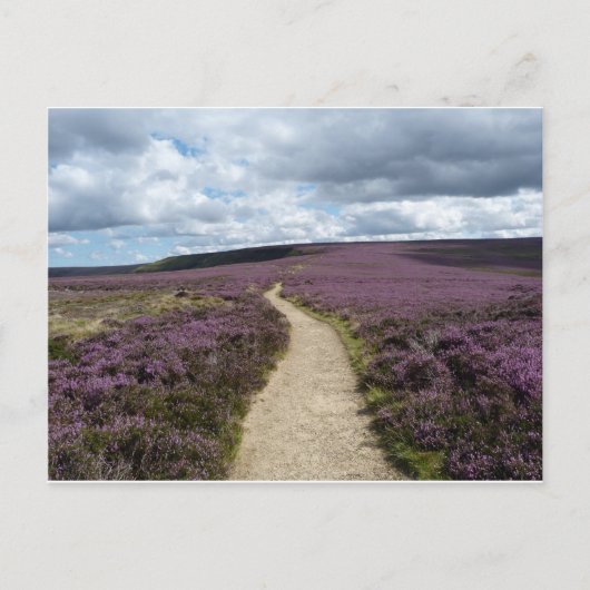 Heather (gemêleerd) briefkaart (Voorkant)