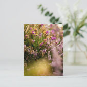 Heather Grouse Briefkaart Bloemen Natuur Herfst Ve (Staand voorkant)