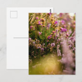 Heather Grouse Briefkaart Bloemen Natuur Herfst Ve (Voorkant / Achterkant)
