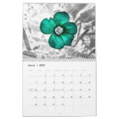 Heather Harty Photography Kalender (Mar 2027)
