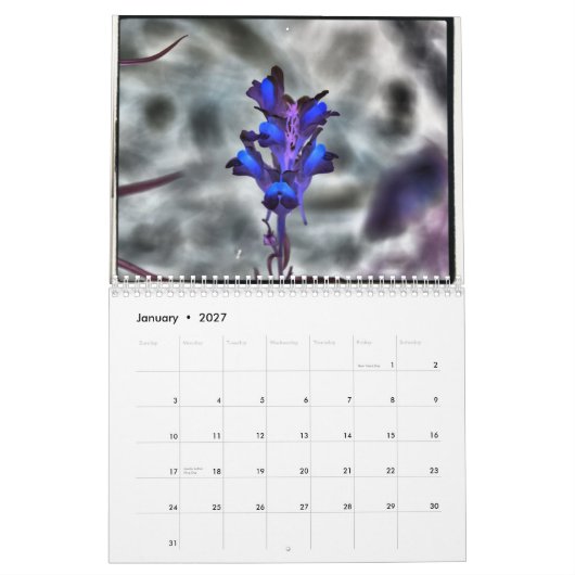 Heather Harty Photography Kalender (Jan 2027)