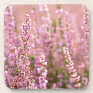 Heather in Horsham, Sussex, Engeland Bier Onderzetter