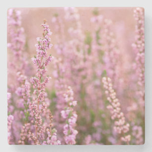 Heather in Horsham, Sussex, Engeland Stenen Onderzetter