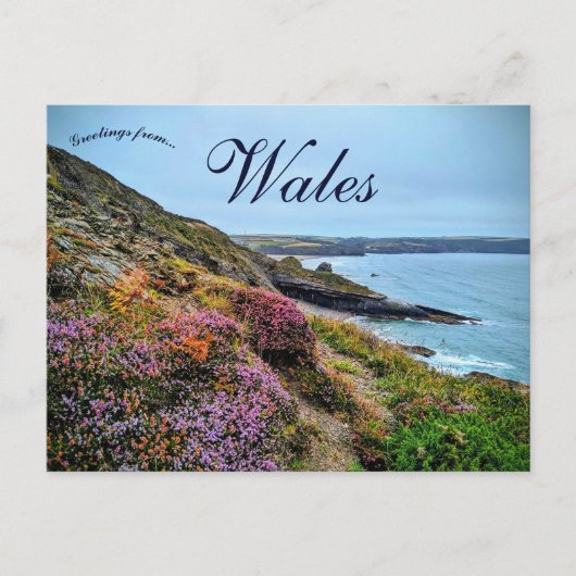 Heather in Pembrokeshire Wales Briefkaart (Voorkant)