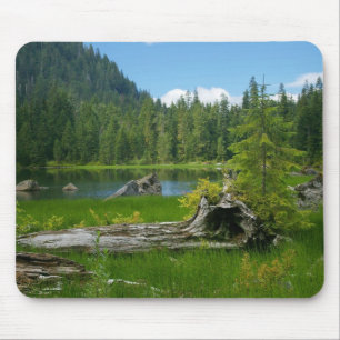 Heather Lake Muismat