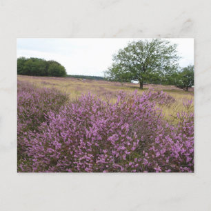 Heather Landscape DIY Briefkaart