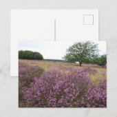 Heather Landscape DIY Briefkaart (Voorkant / Achterkant)