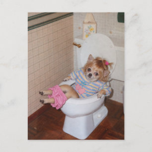 Heather-Lynn's Retro Chihuahua Zindelijkheidstrium Briefkaart