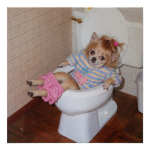 Heather-Lynn's Retro Chihuahua Zindelijkheidstrium Perfect Poster