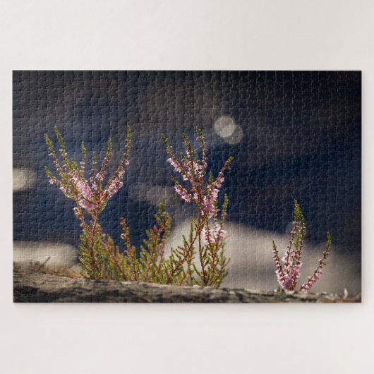 Heather Natuur Foto Legpuzzel (Horizontaal)