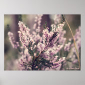Heather Poster (Voorkant)