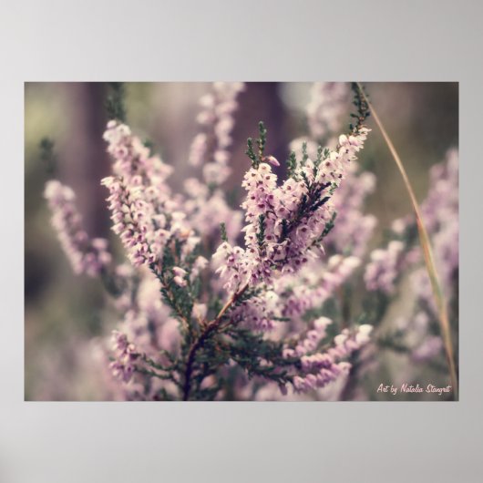 Heather Poster (Voorkant)