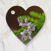 Heather Spring flower evergreen bloom paars wit Bedankjes Labels (Voorkant)