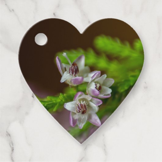 Heather Spring flower evergreen bloom paars wit Bedankjes Labels (Voorkant)