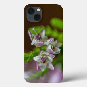 Heather Spring flower evergreen bloom paars wit Case-Mate iPhone Case