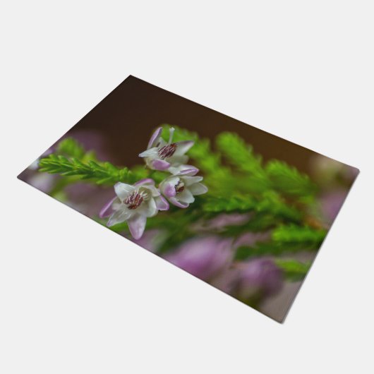 Heather Spring flower evergreen bloom paars wit Deurmat (Schuin)