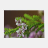 Heather Spring flower evergreen bloom paars wit Deurmat (Voorkant)