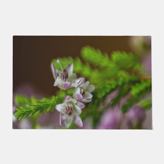 Heather Spring flower evergreen bloom paars wit Deurmat (Voorkant)