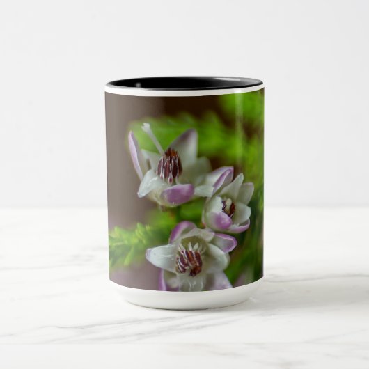 Heather Spring flower evergreen bloom paars wit Mok (Midden)