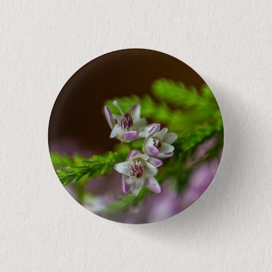 Heather Spring flower evergreen bloom paars wit Ronde Button 3,2 Cm (Voorkant)