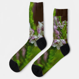Heather Spring flower evergreen bloom paars wit Sokken