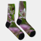 Heather Spring flower evergreen bloom paars wit Sokken (Rechts)