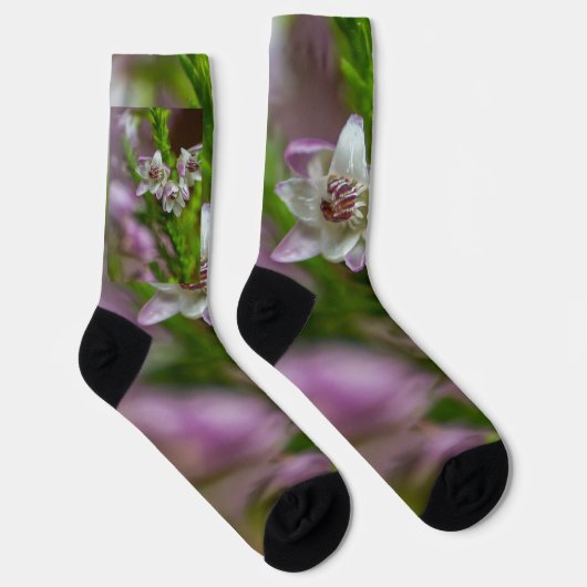 Heather Spring flower evergreen bloom paars wit Sokken (Rechts)