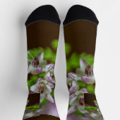 Heather Spring flower evergreen bloom paars wit Sokken (Top)