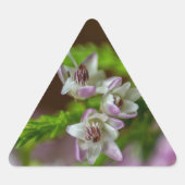 Heather Spring flower evergreen bloom paars wit Sticker (Voorkant)