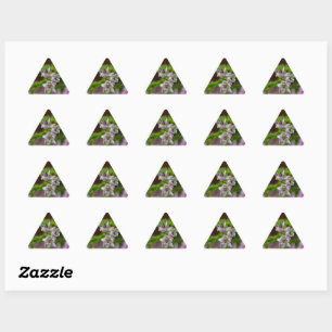 Heather Spring flower evergreen bloom paars wit Sticker