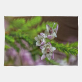 Heather Spring flower evergreen bloom paars wit Theedoek (Horizontaal)