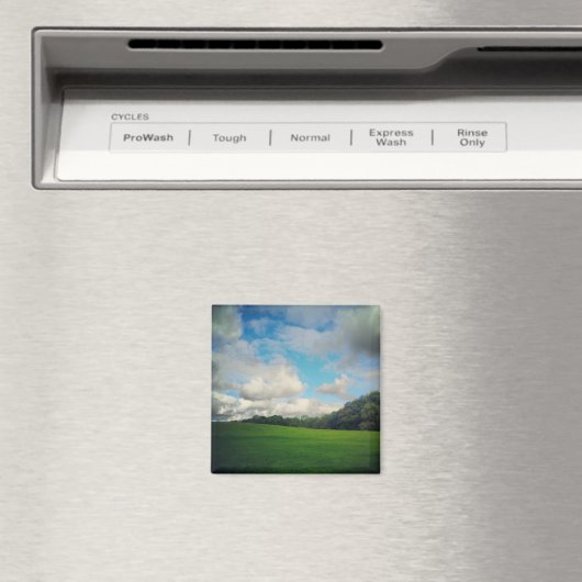 Heaton Park Magnet (Insitu (Vaatwasser))